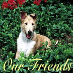Our Friends