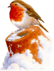 robin