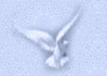 icon2