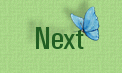 fairy2_8next.gif 