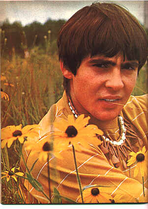 Davy in a field