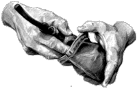 Manos.GIF (9274 bytes)