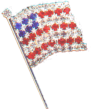 Flag.gif (59503 bytes)