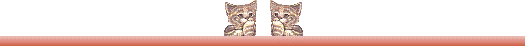 kittyline