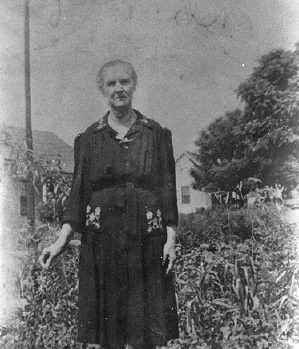 Sara Cody