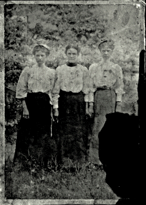 Susan, Rose, Liza Cody