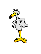 /user/Flamingo.gif
