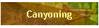 Canyoning