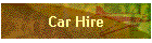 Car Hire