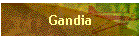Gandia