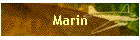 Marin