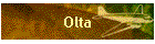 Olta