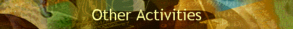 Other Activities