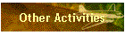 Other Activities