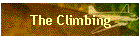 The Climbing