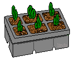 ready to be planted