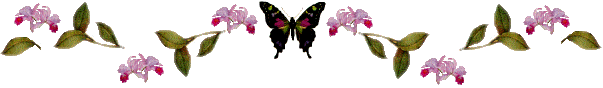 This Website is devoted to Butterflies,Pictures,information, 
gardening for butterflies,Behaviors,Trivia,Tips,Caterpillar life cycle and much More.