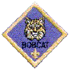 Bobcat Logo