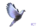 dove