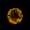 fireworks"