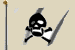 skullflag