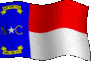ncflag