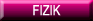 Laman Web Fizik