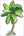 palm