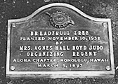 plaque