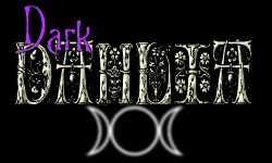 Dark Dahlia