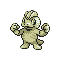 Machop