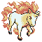 Rapidash