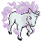 Rapidash Shiny