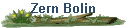 Zern Bolin