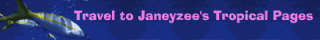 tropical topics