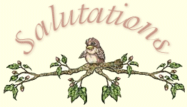 header graphic