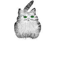 Animated Cat