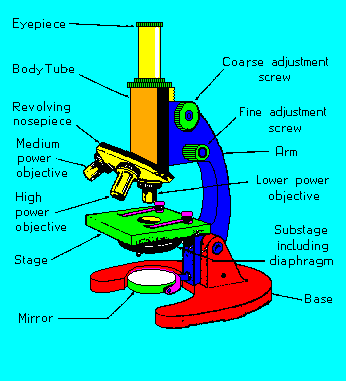 microscp.gif
