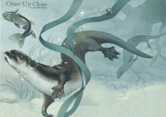 otter.gif