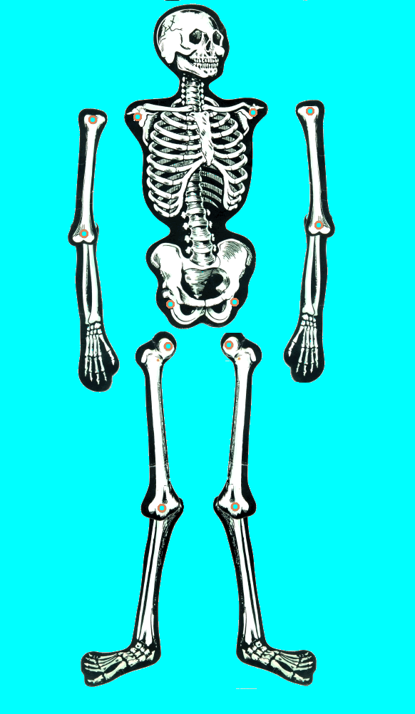 skeleton.gif