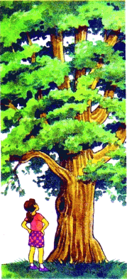 tree.gif
