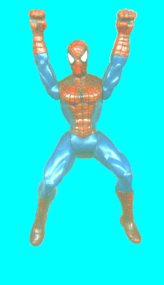spidermnc.gif