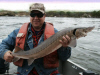 Winnipeg River Sturgeon