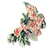 LilAngbdr.gif (2437 bytes)