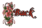 orchidback.gif (5082 bytes)