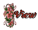 orchidview.gif (5055 bytes)