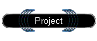 Project