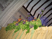 The Flowers
