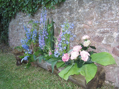 Front lawn