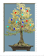 Bonsai